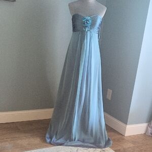 Bari Jay Iridescent Sweetheart Gown 10-12
